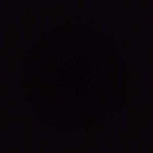 Meet your Posher, Mia